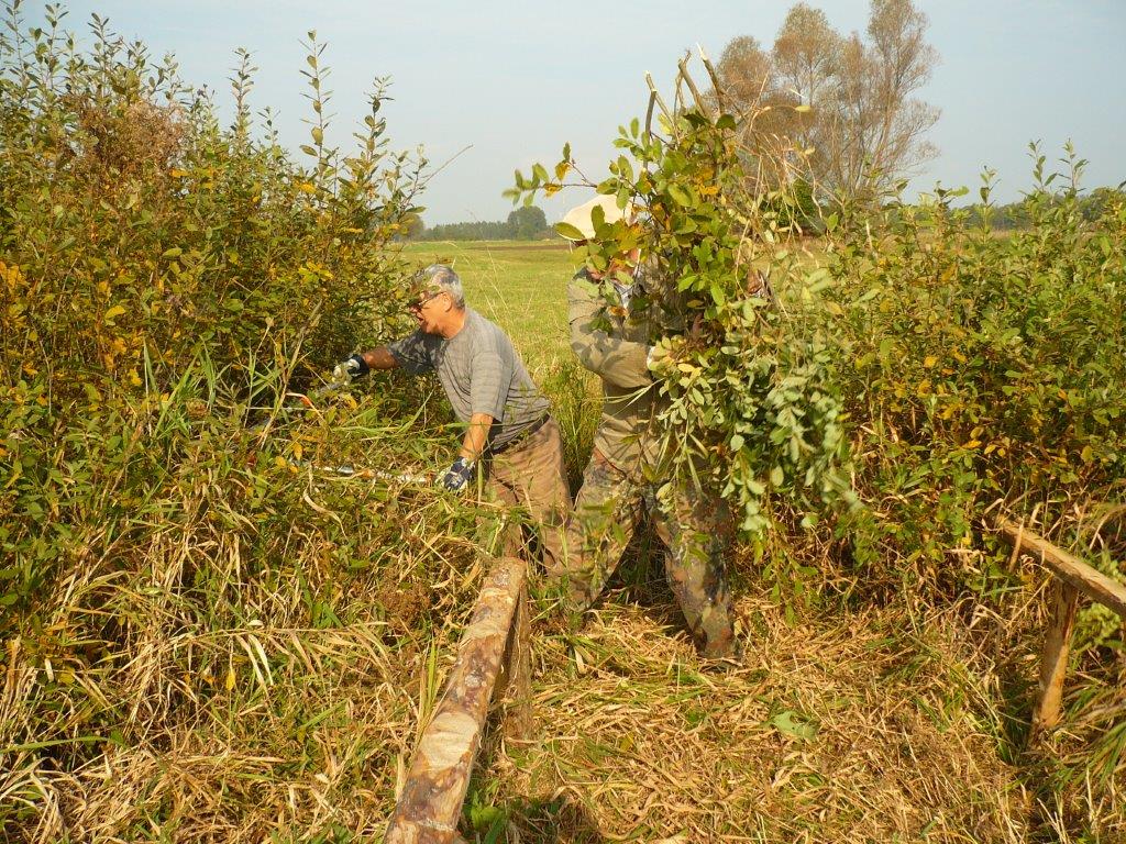 11.10.2014 Przejście dla bażantów